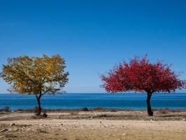  Issyk Kul Lake